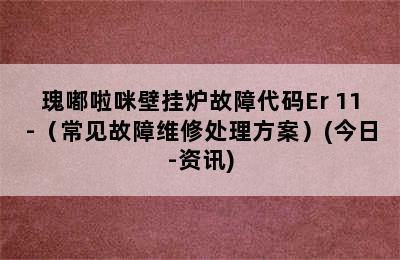 瑰嘟啦咪壁挂炉故障代码Er 11-（常见故障维修处理方案）(今日-资讯)